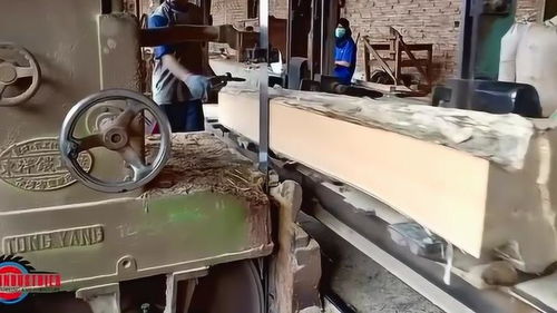 在印度尼西亚的一个旧锯木厂里,木材是这样被加工出来的